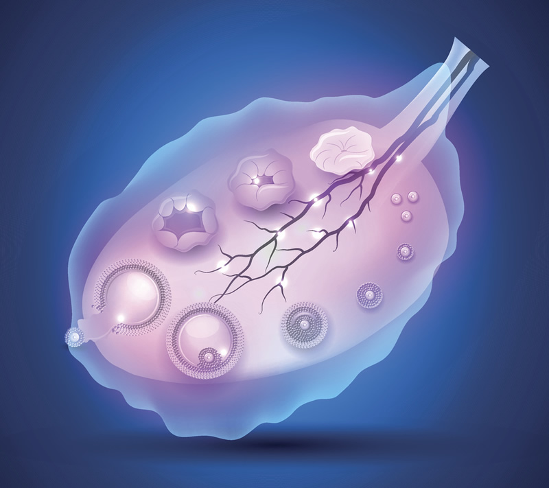 南京三代试管婴儿医院前十强排名：鼓楼医院、江苏省人民医院等公立三甲领跑，附2026年试管费用参考与医生团队介绍